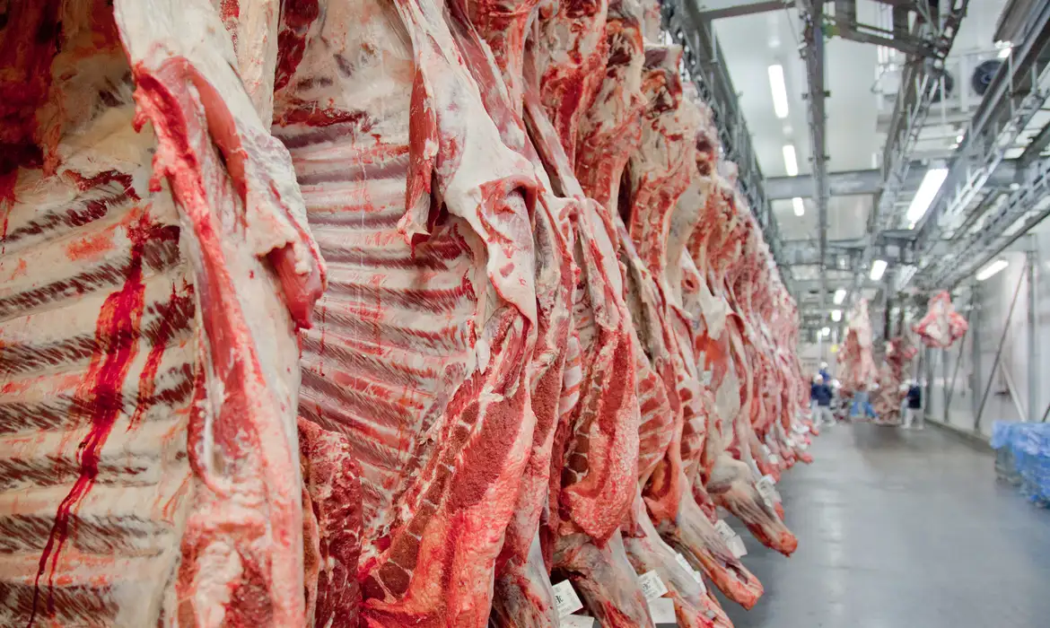 Singapura abre mercado para extrato de carne bovina brasileira